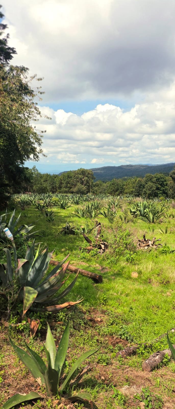 Foto Rancho 11